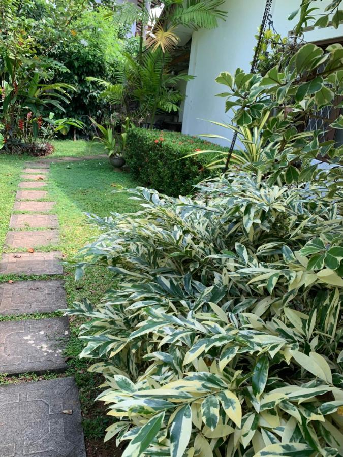 Tranquil Private Villa Near Bentota Beach Exterior foto